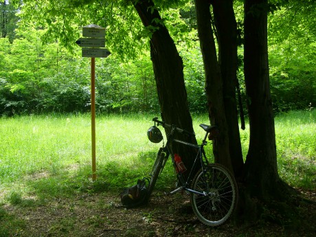 201606003 Údolím Sopotnice